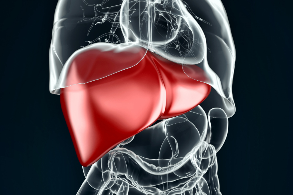 liver function<br />
