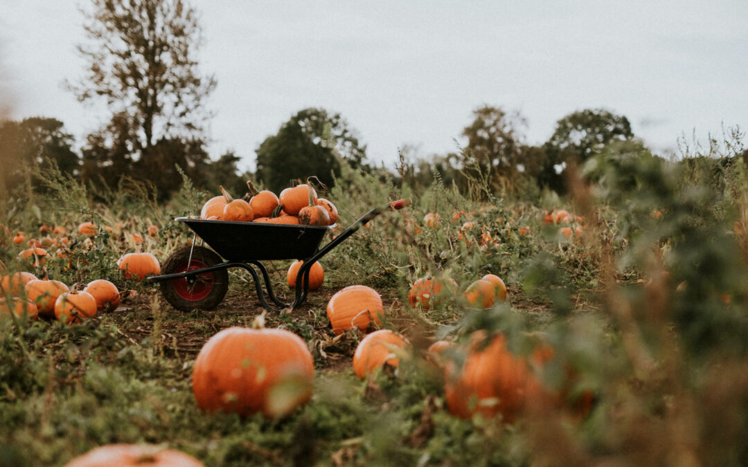 Halloween Horrors: Unmasking Mental Health Challenges